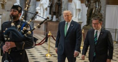 Trump considers ending Congress's two-week recess for a rare special session to end DHS shutdown