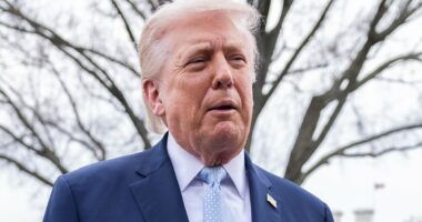 Trump considers winding down strikes on Iran