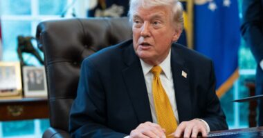 Trump delays strikes on Iran power, energy plants for five days, citing 'very good and productive conversations'