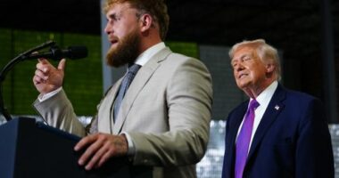 Trump endorses Jake Paul, praises boxer's 'beautiful' fiancee in surprise speech