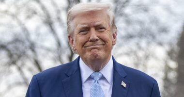 Trump given plans to put troops on the ground in Iran, report says