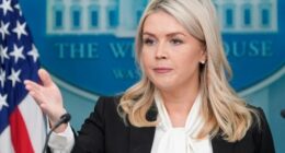 Trump had 'good feeling' Iran was about to attack