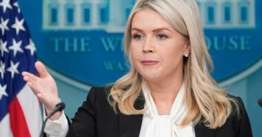 Trump had 'good feeling' Iran was about to attack