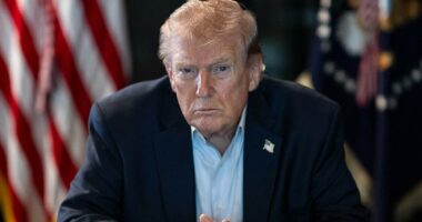 Trump hurls VERY cutting insult at conservative critics of Iran strike