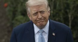 Trump issues threat to send ICE agents to airports to handle security