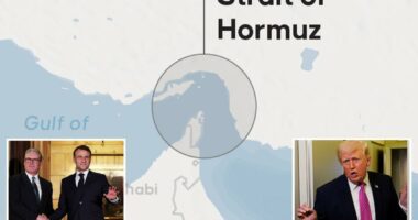 Trump lashes out at France and UK over Strait of Hormuz