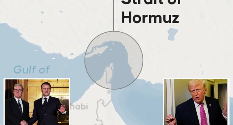 Trump lashes out at France and UK over Strait of Hormuz