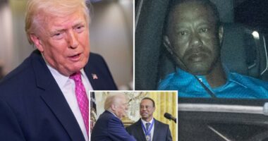 Trump on Tiger Woods' Florida rollover DUI crash, tells The Post Vanessa's boyfriend endures 'a life of pain'