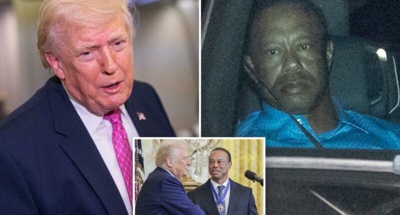 Trump on Tiger Woods' Florida rollover DUI crash, tells The Post Vanessa's boyfriend endures 'a life of pain'