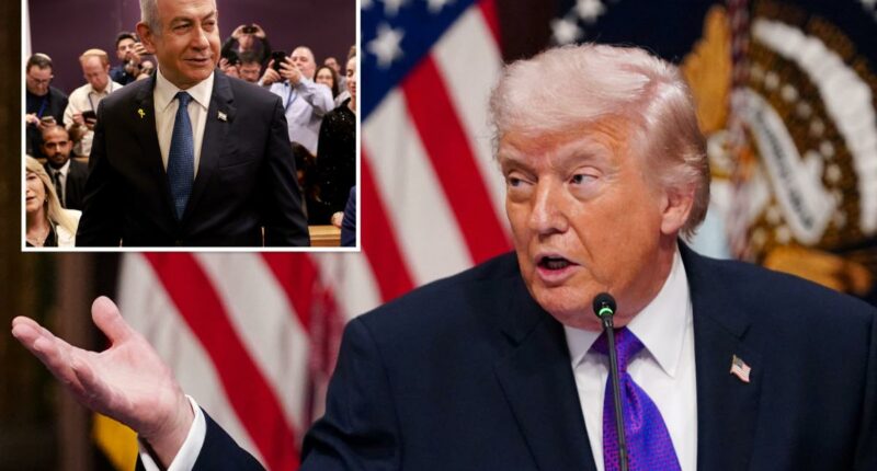 Trump reportedly demands pardon for Netanyahu, so Israeli prime minister can 'focus' on Iran war