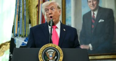 Trump rips 'dumb' Supreme Justices ahead of critical birthright citizenship oral arguments