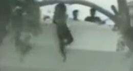 Trump risks Carter-style disaster as he moves to install infamous butcher to lead Iran: Haunting video reveals rooftop killings