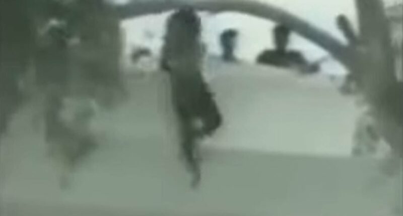 Trump risks Carter-style disaster as he moves to install infamous butcher to lead Iran: Haunting video reveals rooftop killings