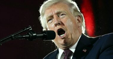 Trump says 'NATO have done absolutely nothing to help with Iran