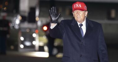 Trump says he'll put US boots on the ground in Iran 'if necessary'