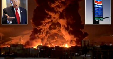 Trump says short term oil price spikes 'very small price' for peace