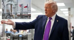 Trump signals he will tap into Strategic Petroleum Reserve to bring down gas prices