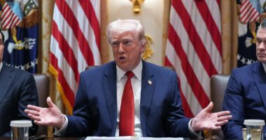 Trump slams Britain's 'toy' aircraft carrier