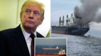 Trump slams China, US allies for not jumping at chance to help open the Strait of Hormuz