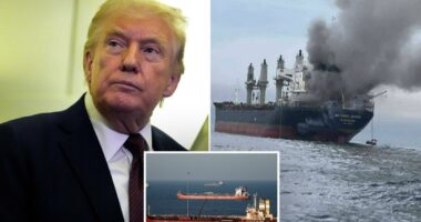 Trump slams China, US allies for not jumping at chance to help open the Strait of Hormuz