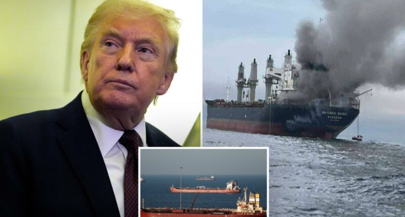 Trump slams China, US allies for not jumping at chance to help open the Strait of Hormuz