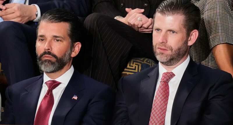 Trump sons trigger 'corruption' uproar as Pentagon drone venture surfaces amid Iran war