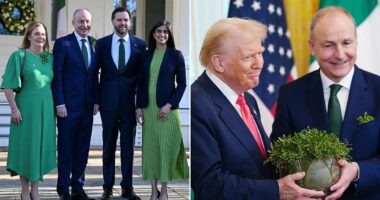 Trump takes $389B gamble on Ireland