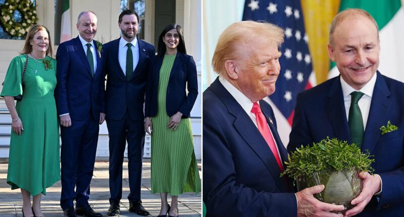 Trump takes $389B gamble on Ireland