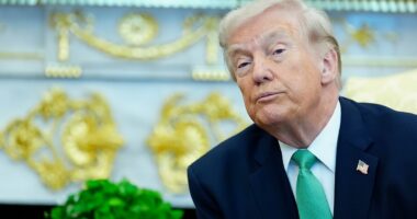 Trump tears into 'weak' official who resigned over Iran war as his allies pile on 'crazed egomaniac' who was about to be FIRED