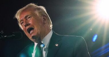 US President Donald Trump