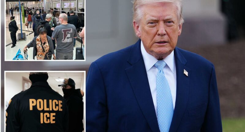 Trump threatens to unleash ICE agents on US airports if Dems don't end shutdown