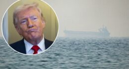 Trump to oil tankers: ‘Show some guts’ amid Iran war danger