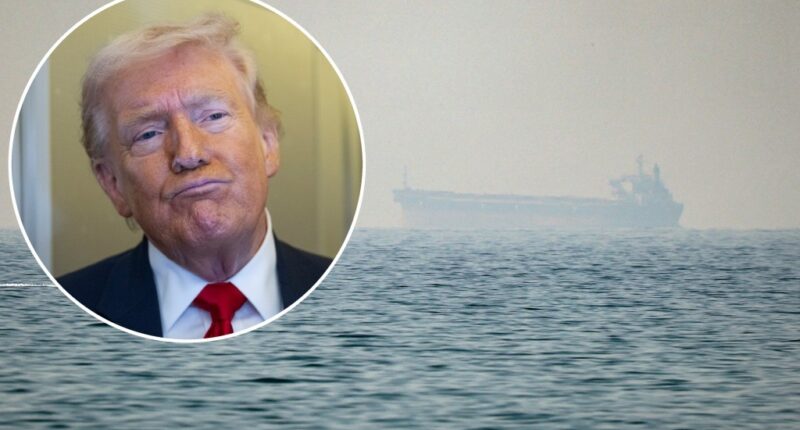 Trump to oil tankers: ‘Show some guts’ amid Iran war danger