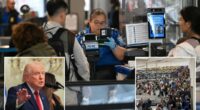 Trump to sign emergency order to get TSA agents paid â bypassing Congress in DHS shutdown fight