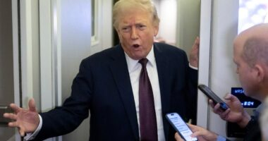 Trump warns NATO of 'very bad' future if allies don't help secure Strait of Hormuz