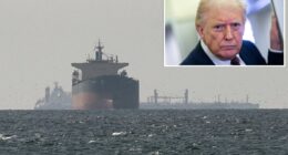 Trump warns of 'very bad' future if NATO allies refuse to help open critical Strait of Hormuz