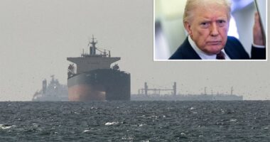 Trump warns of 'very bad' future if NATO allies refuse to help open critical Strait of Hormuz