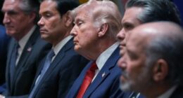 L-R: Interior Secretary Doug Burgum, Secretary of State Marco Rubio, US President Donald Trump, Defence Secretary Pete Hegseth, and Commerce Secretary Howard Lutnick