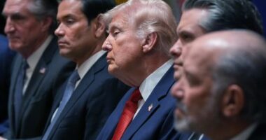 L-R: Interior Secretary Doug Burgum, Secretary of State Marco Rubio, US President Donald Trump, Defence Secretary Pete Hegseth, and Commerce Secretary Howard Lutnick
