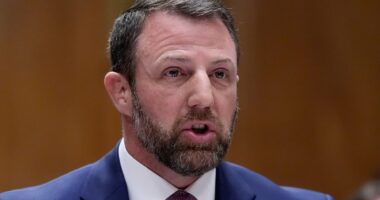 Trump's DHS pick makes stunning U-turn after confronted with his past comments on ICE raids