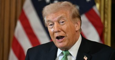 Trump's SAVE America Act is doomed for a simple reason as he rages against 'sick and demented' Republican holdouts