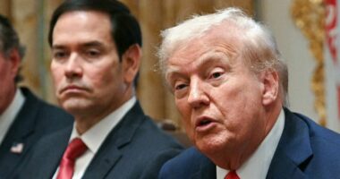 Trump's secret plan to 'take Cuba THIS WEEK' revealed: Discovery of 'spies' inside US government triggers Marco Rubio to mount covert operation