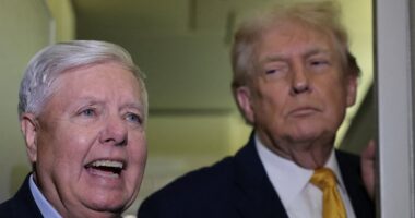 Trump's warmonger bestie tears into European allies with a chilling warning on Strait of Hormuz