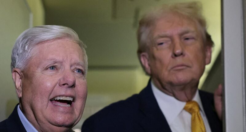 Trump's warmonger bestie tears into European allies with a chilling warning on Strait of Hormuz