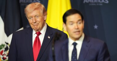 Trump's 'young, very smart type of person' remark used against administration in lawsuit as dozens of canned USAID workers claim 'direct' violations of law