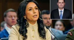 Tulsi Gabbard hires ex-Pentagon official skeptical of US war with Iran