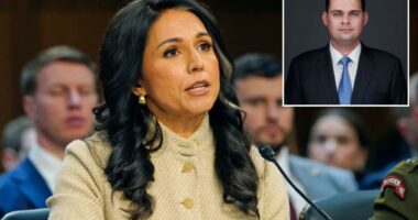 Tulsi Gabbard hires ex-Pentagon official skeptical of US war with Iran