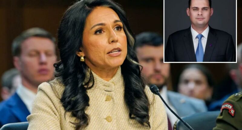 Tulsi Gabbard hires ex-Pentagon official skeptical of US war with Iran