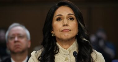 Tulsi Gabbard lets Iran nuke bombshell slip at Senate hearing