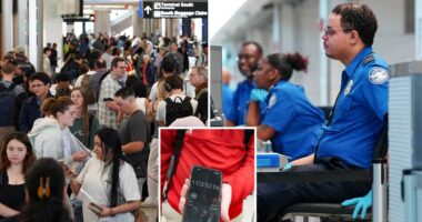 Turbulence in the skies! TSA callouts threaten to shut airports down